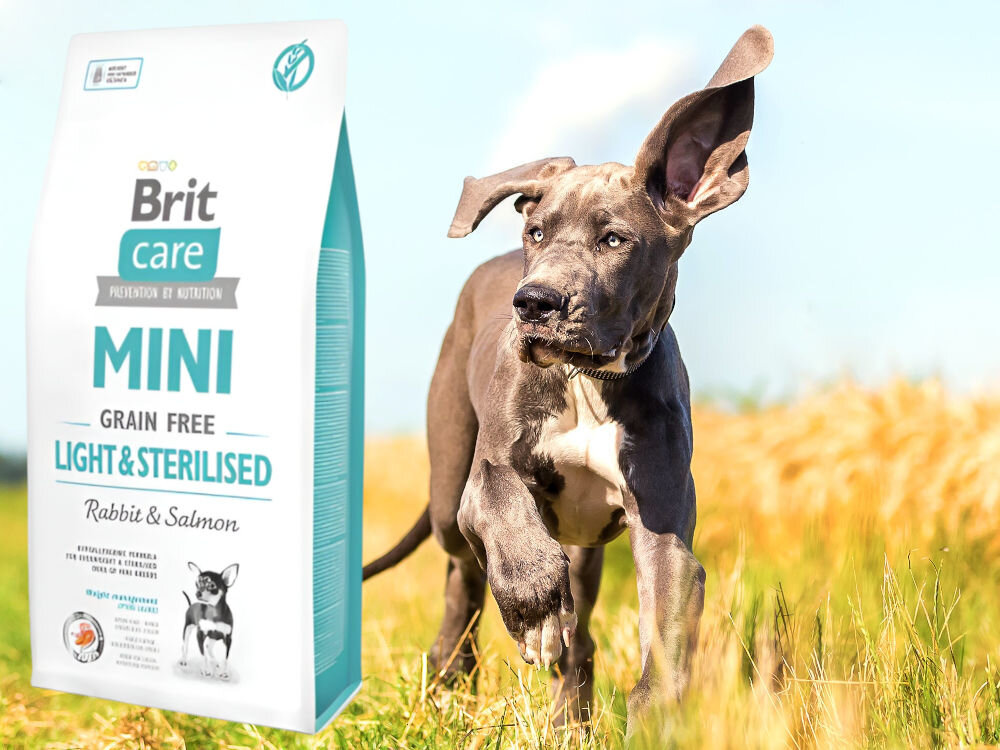 Karma dla psa BRIT Care Mini Light & Sterilised Królik z łososiem 2 kg dodatki analiza