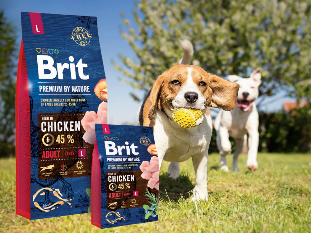 Karma dla psa BRIT Premium By Nature Kurczak 3 kg sklad zywienie
