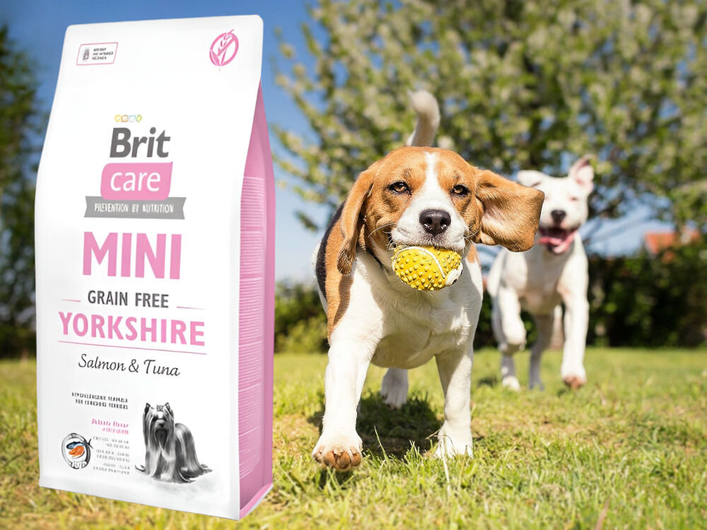 Karma dla psa BRIT Care Mini Yorkshire Łosoś z tuńczykiem 2 kg sklad zywienie