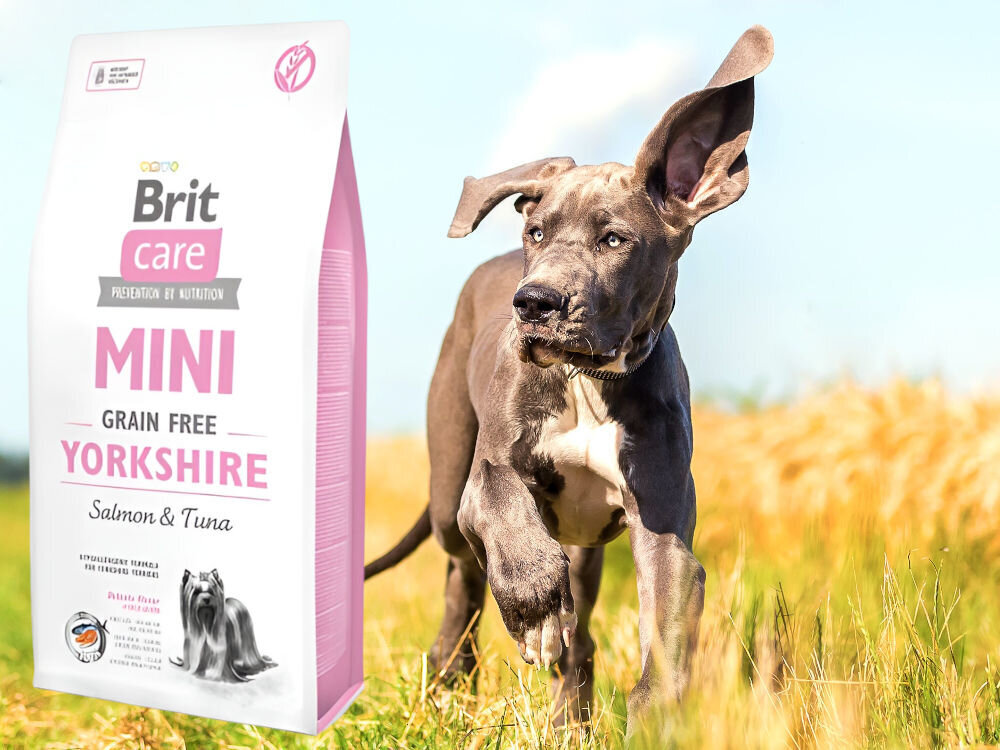 Karma dla psa BRIT Care Mini Yorkshire Łosoś z tuńczykiem 2 kg dodatki analiza