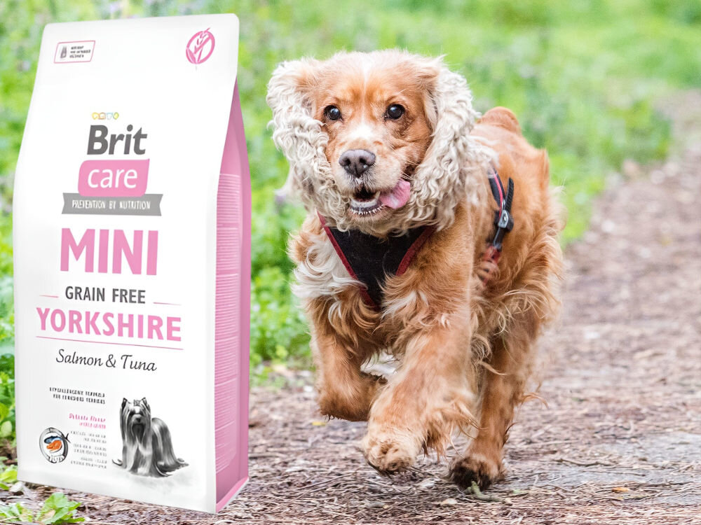 Karma dla psa BRIT Care Mini Yorkshire Łosoś z tuńczykiem 2 kg witaminy zdrowie