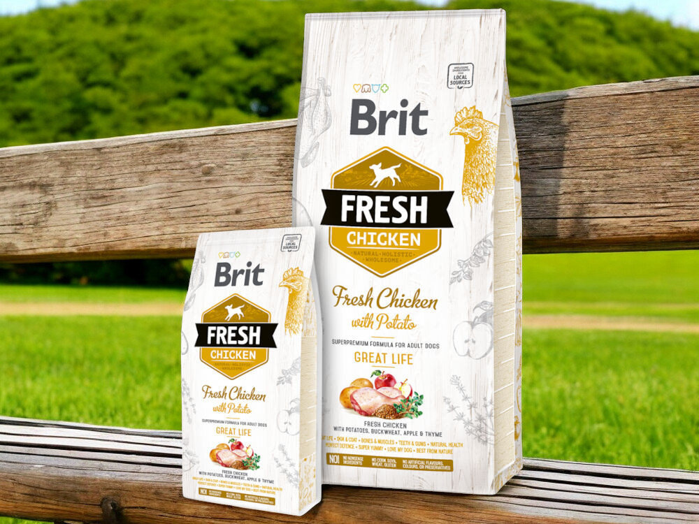 Karma dla psa BRIT Fresh Chicken & Potato Kurczak z ziemniakami 2,5 kg