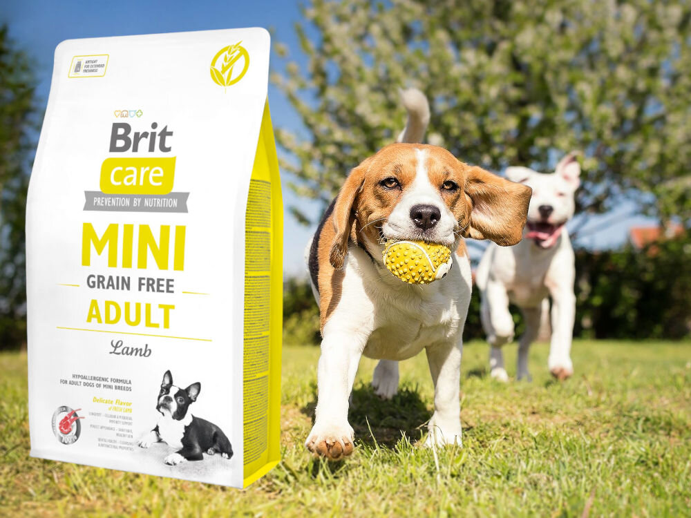 Karma dla psa BRIT Care Mini Jagnięcina 2 kg sklad zywienie