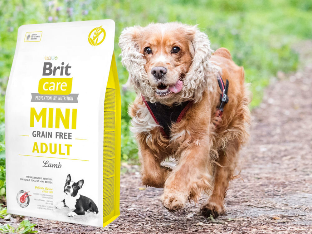 Karma dla psa BRIT Care Mini Jagnięcina 2 kg dodatki analiza