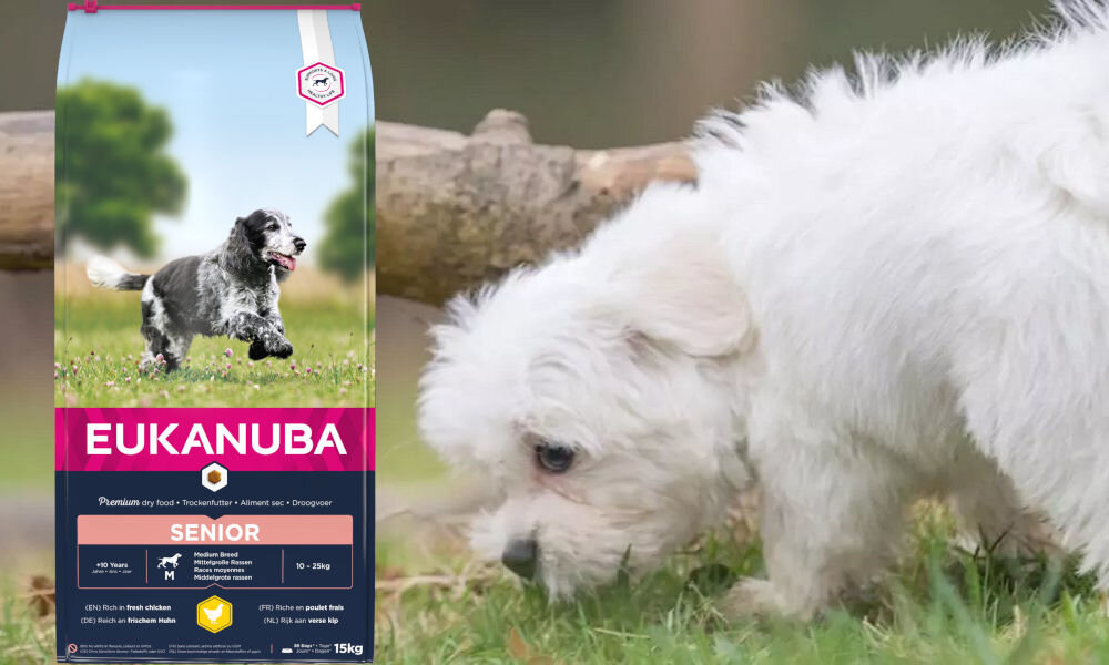 Karma dla psa EUKANUBA Senior Medium Breed Kurczak 15 kg dawkowanie analiza sklad