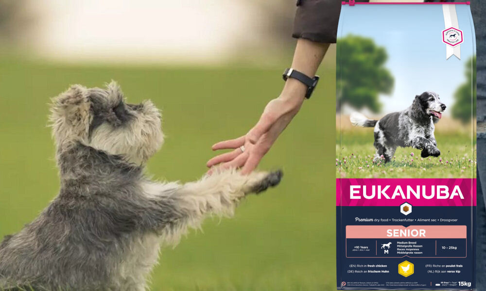 Karma dla psa EUKANUBA Senior Medium Breed Kurczak 15 kg dawkowanie analiza sklad