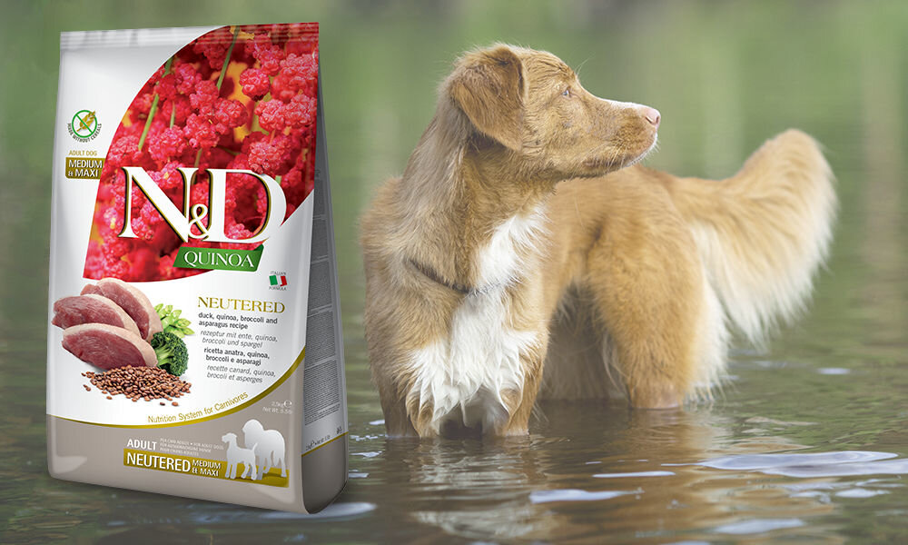 Karma dla psa Karma dla psa FARMINA N&D Quinoa Skin & Coat Przepiórka 7 kg dawkowanie analiza sklad