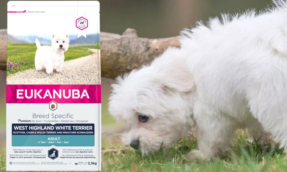 Karma dla psa EUKANUBA Adult Breed Specific West Highland White Terrier Kurczak z indykiem 2.5 kg dawkowanie analiza sklad