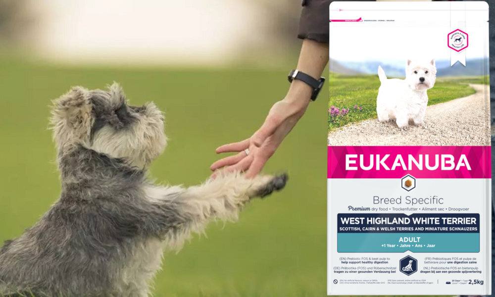 Karma dla psa EUKANUBA Adult Breed Specific West Highland White Terrier Kurczak z indykiem 2.5 kg dawkowanie analiza sklad