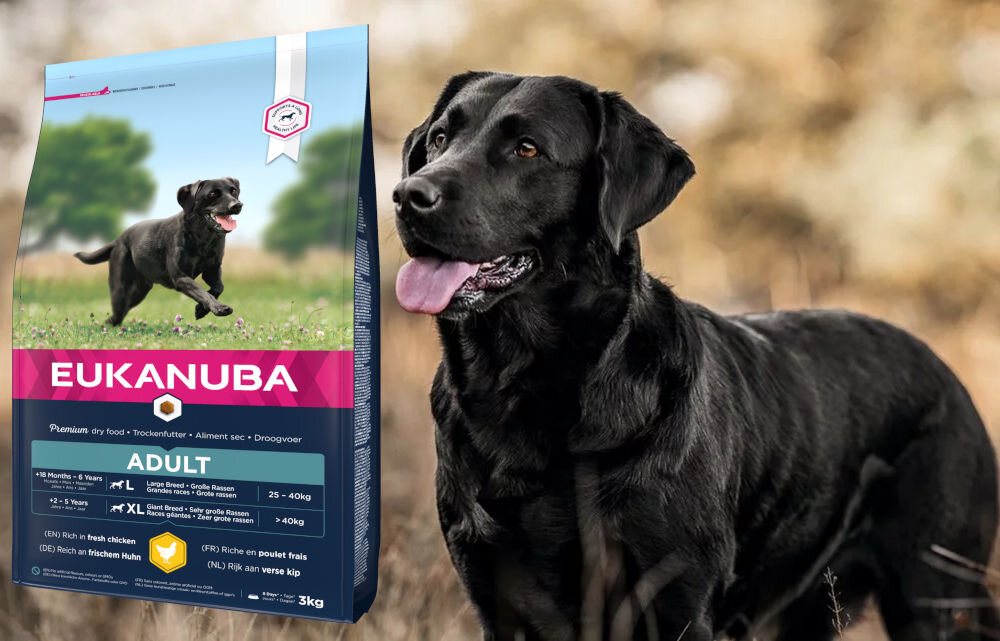 Karma dla psa EUKANUBA Adult Large Breeds Adult Kurczak 3 kg dawkowanie analiza sklad