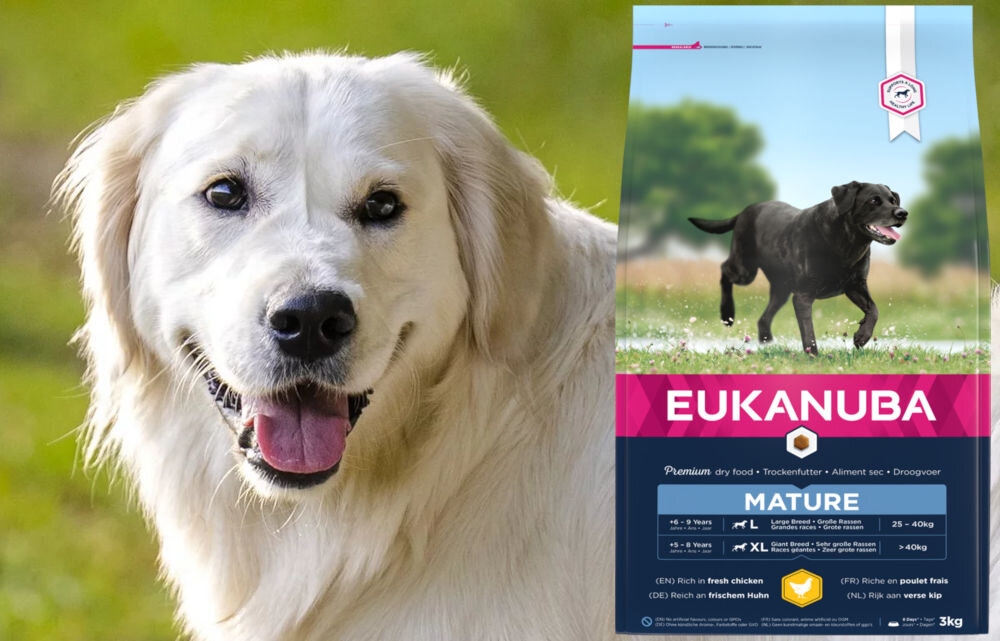 Karma dla psa EUKANUBA Veterinary Diets Restricted Calorie Kurczak 5 kg dawkowanie analiza sklad