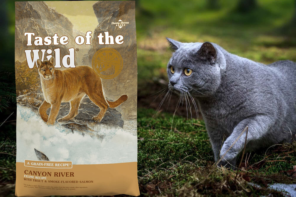 Karma dla kota TASTE OF THE WILD Canyon River Łosoś i pstrąg 2 kg naturalne składniki