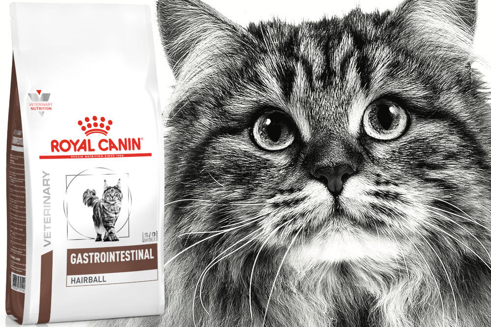 Karma dla kota ROYAL CANIN Gastrointestinal Hairball 2 kg naturalne składniki