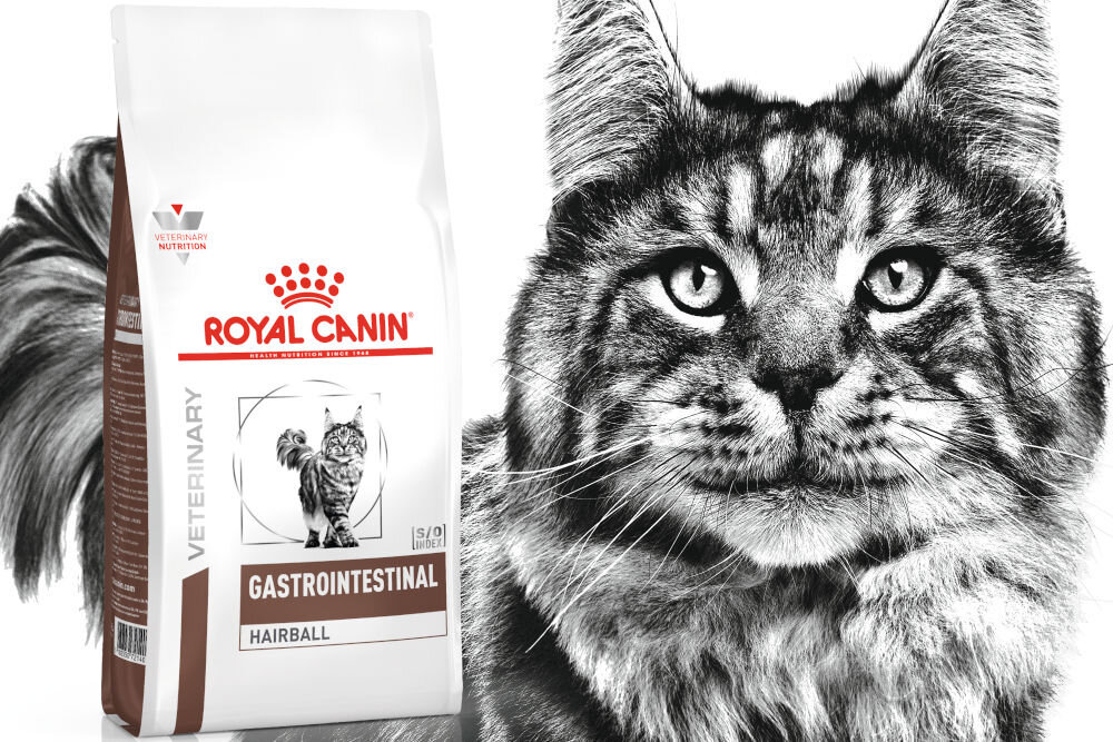 Karma dla kota ROYAL CANIN Gastrointestinal Hairball 2 kg dawkowanie analiza sklad