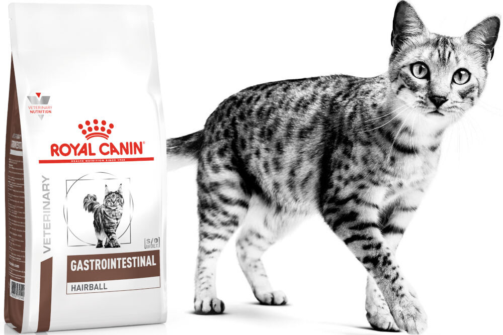 Karma dla kota ROYAL CANIN Gastrointestinal Hairball 2 kg witaminy pierwiastki aminokwasy