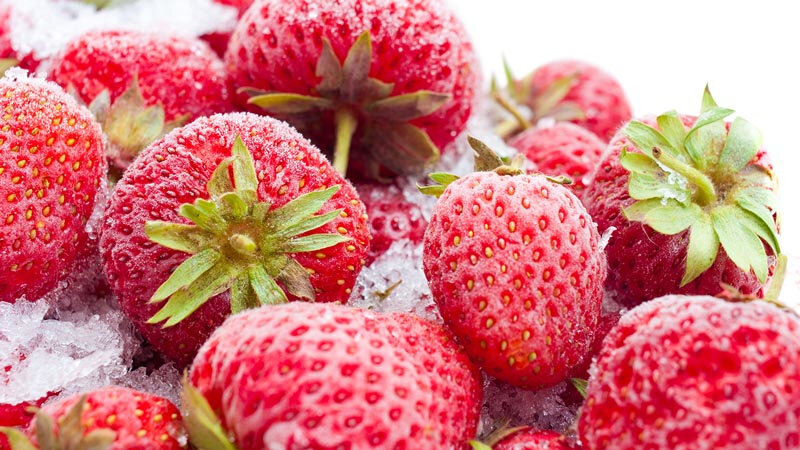 HAIER-HCE103F zamrażarka fast freeze szybkie mrożenie właściwości odżywcze