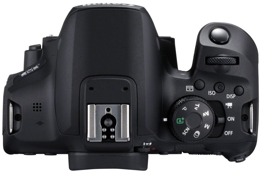 Aparat CANON EOS 850D zdjęcia obiektyw ekran wizjer ogniskowa przysłona migawka obudowa bateria zasilanie filmy nagrywanie rozdzielczość matryca rozmiar przekątna tryby iso montaż lampa światło przyciski sterowanie menu kontrast jasność balans bieli filtry cmos karta pliki format zapis seria