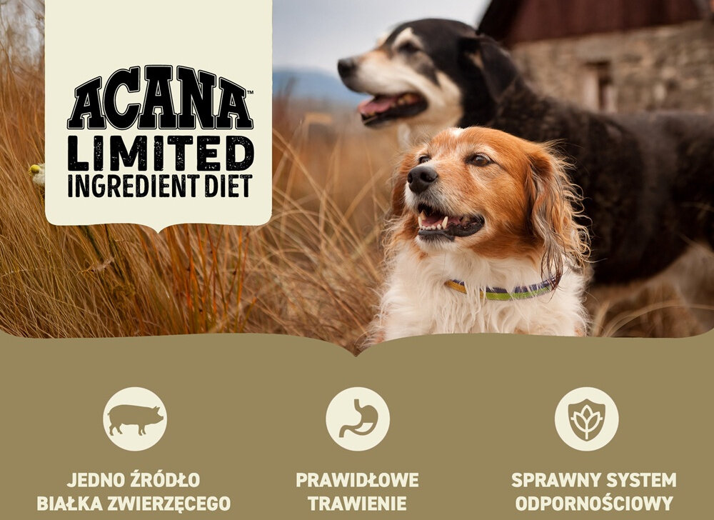 Karma dla psa ACANA Singles Yorkshire Wieprzowina 6 kg dwa psy na polu logo ACANA pełnowartościowe białko dla wrażliwych psów