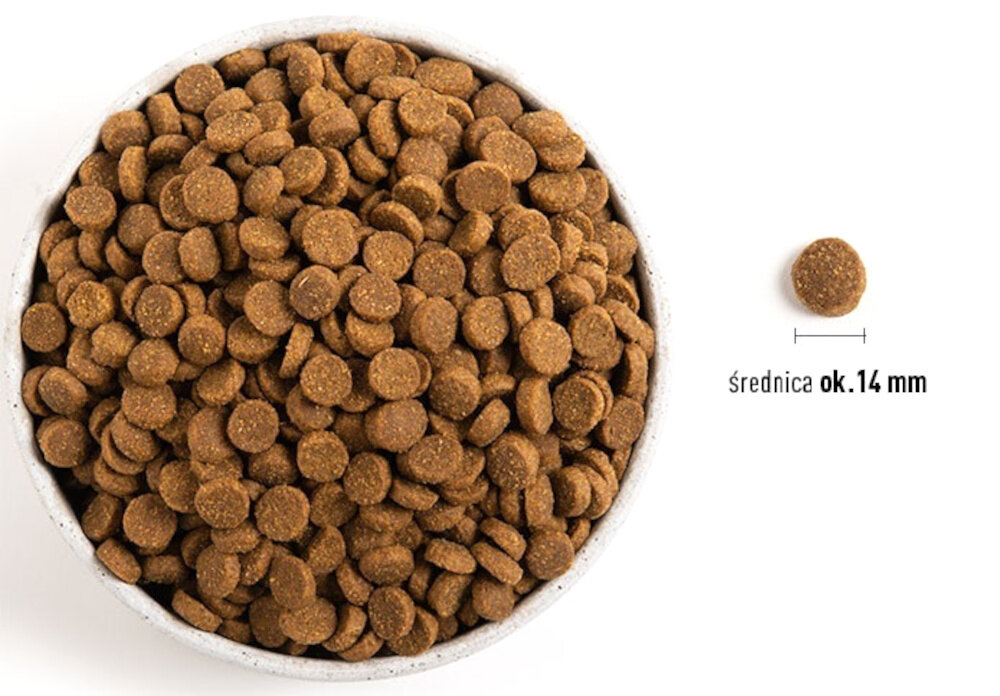 Karma dla psa ACANA Singles Yorkshire Wieprzowina 6 kg karma na białym tle obok jeden chrupek dla psów z wrażliwym układem pokarmowym wolna od glutenu składniki roślinne groch dynia dynia piżmowa owoce zioła tonizujące kurkuma, lawenda, dzika róża wieprzowina jako jedynego źródła białka zwierzęcego wartość energetyczna 3393 kcal/kg chrupki o średnicy około 14 mm