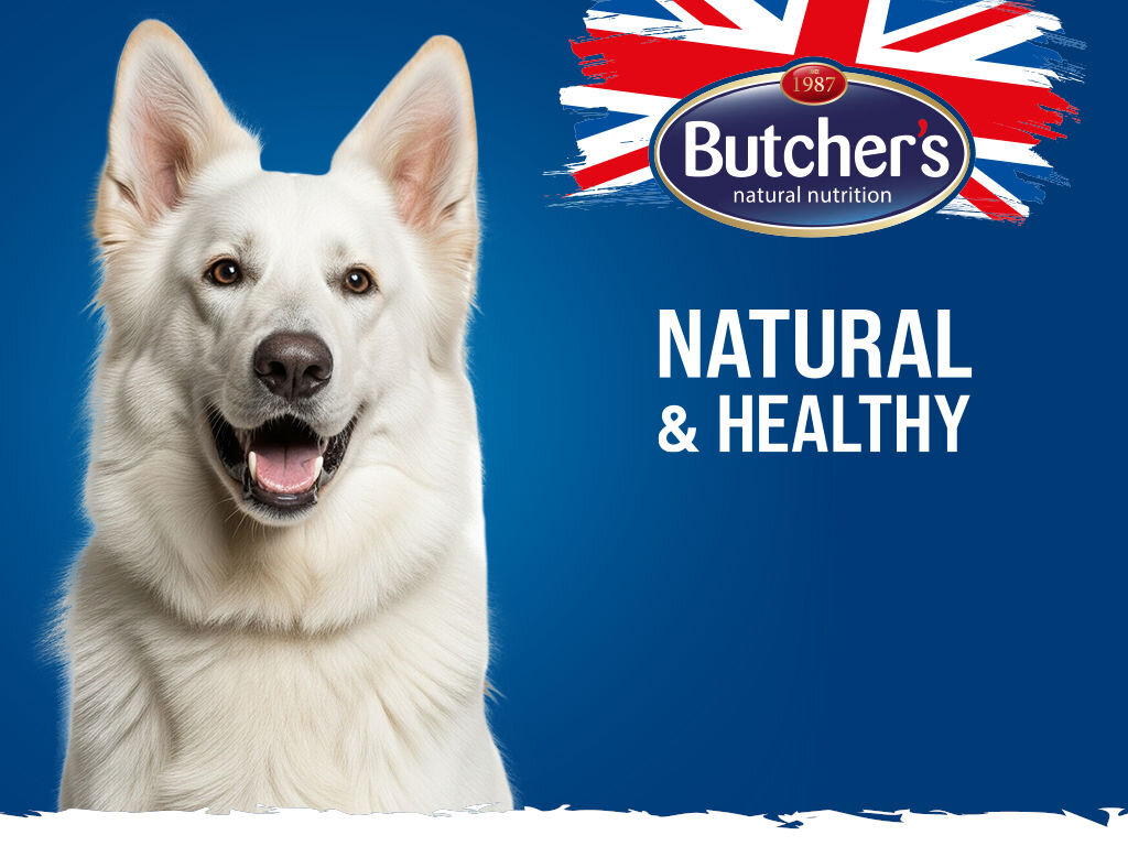 Karma dla psa BUTCHER'S Natural & Healthy Wołowina 3 kg butchers N&H pies grafika pierwsza