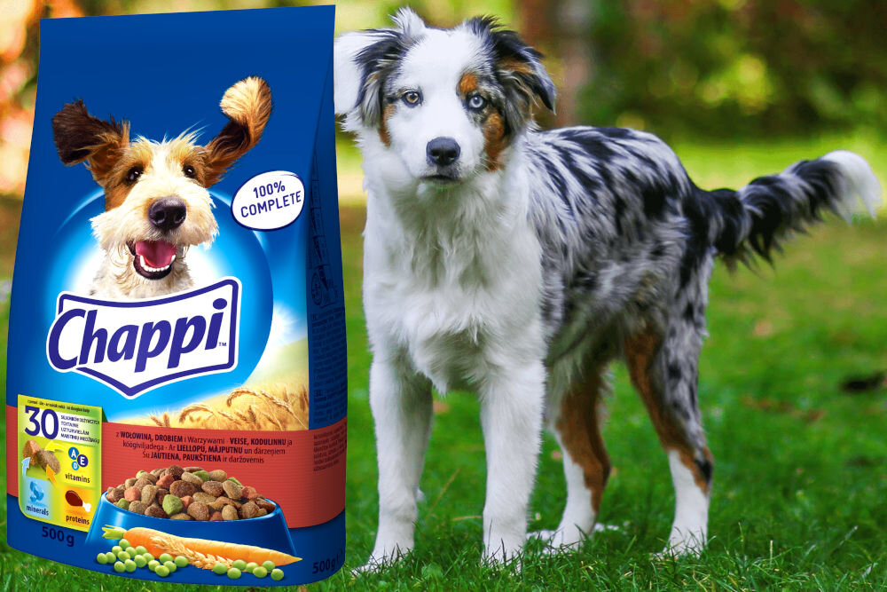 Karma dla psa CHAPPI™ Wołowina z drobiem i warzywami 500 g dawkowanie analiza sklad