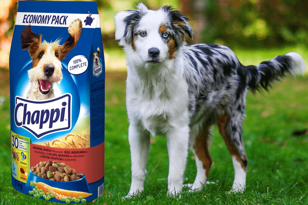 Karma dla psa CHAPPI Wołowina i drób 9 kg dawkowanie analiza sklad