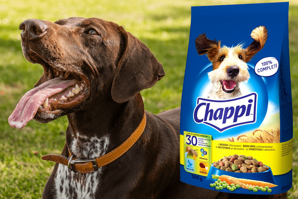 Karma dla psa CHAPPI™ z Drobiem i Warzywami 500 g naturalne składniki