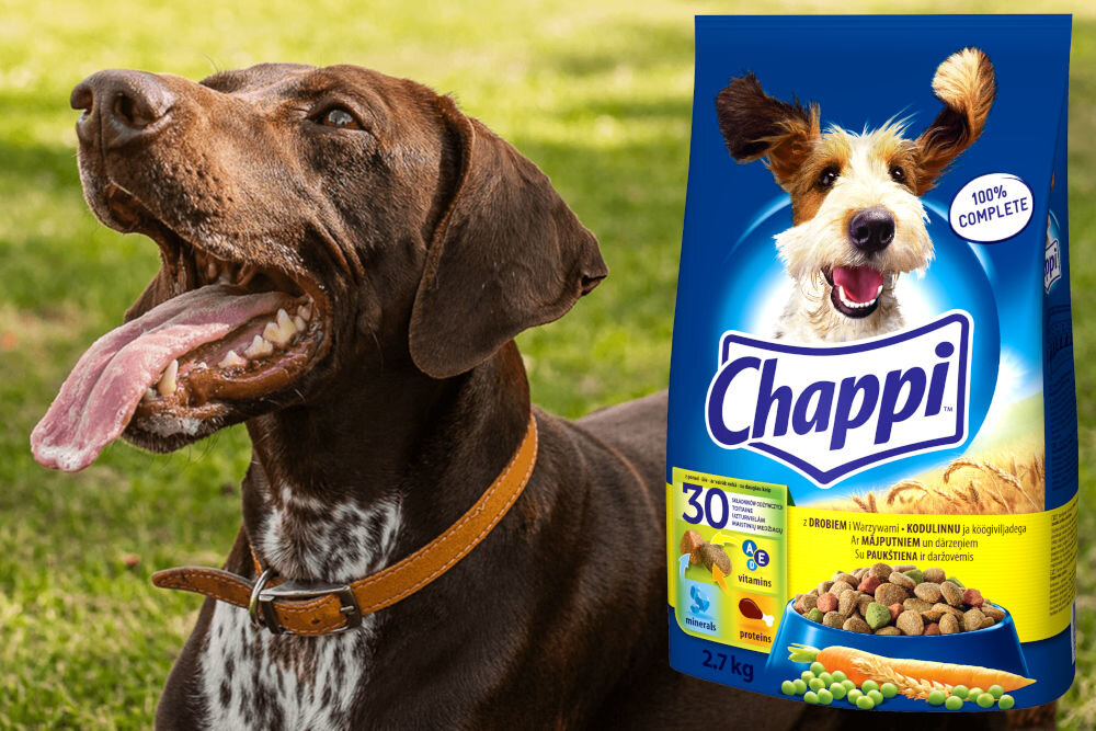 Karma dla psa CHAPPI™ z Drobiem i Warzywami 2,7 kg naturalne składniki