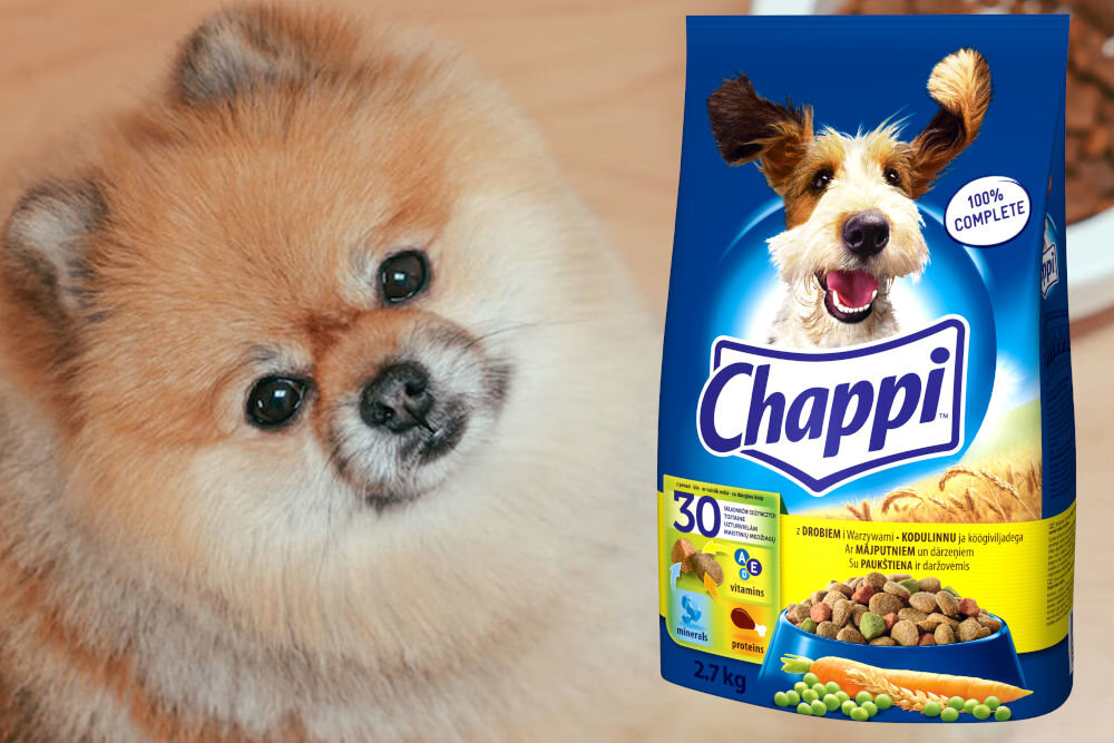 Karma dla psa CHAPPI™ z Drobiem i Warzywami 2,7 kg witaminy pierwiastki aminokwasy