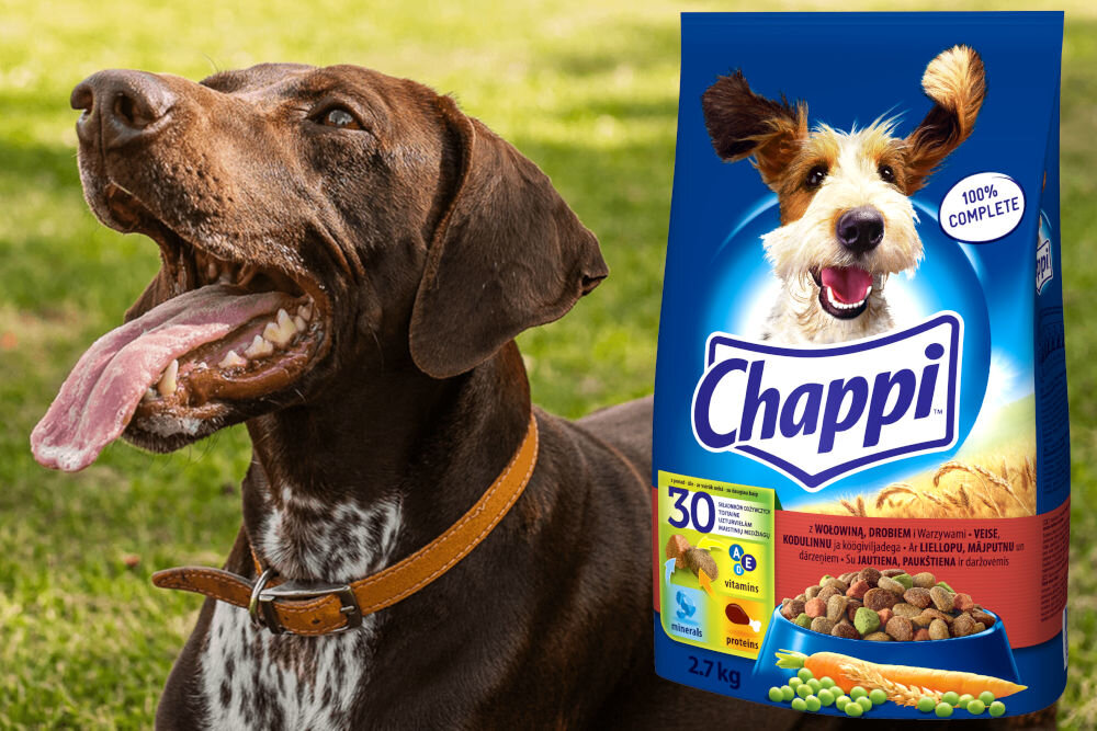 Karma dla psa CHAPPI™ Wołowina z drobiem i warzywami 2,7 kg naturalne składniki