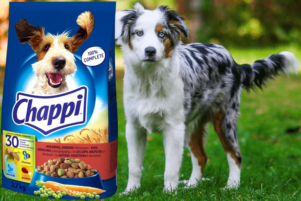 Karma dla psa CHAPPI™ Wołowina z drobiem i warzywami 2,7 kg dawkowanie analiza sklad
