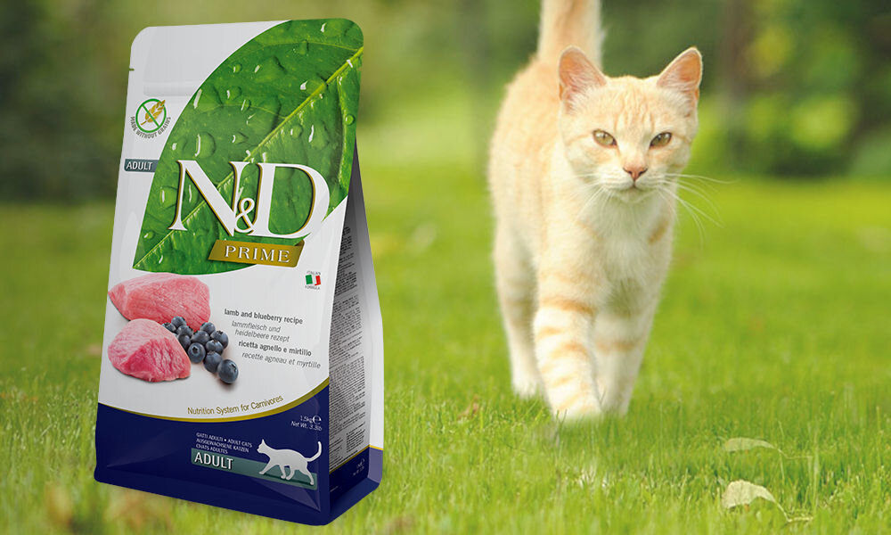 Karma dla kota FARMINA N&D Prime Jagnięcina z borówką 5 kg dawkowanie analiza sklad