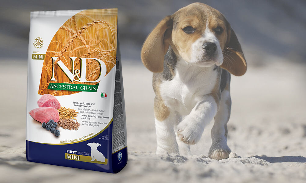 Karma dla psa FARMINA N&D Ancestral Grain Jagnięcina z borówką Puppy Mini 7 kg dawkowanie analiza sklad