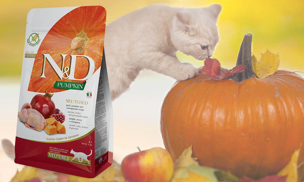 Karma dla kota FARMINA N&D Pumpkin Przepiórka z dynią i granatem 1,5 kg dawkowanie analiza sklad