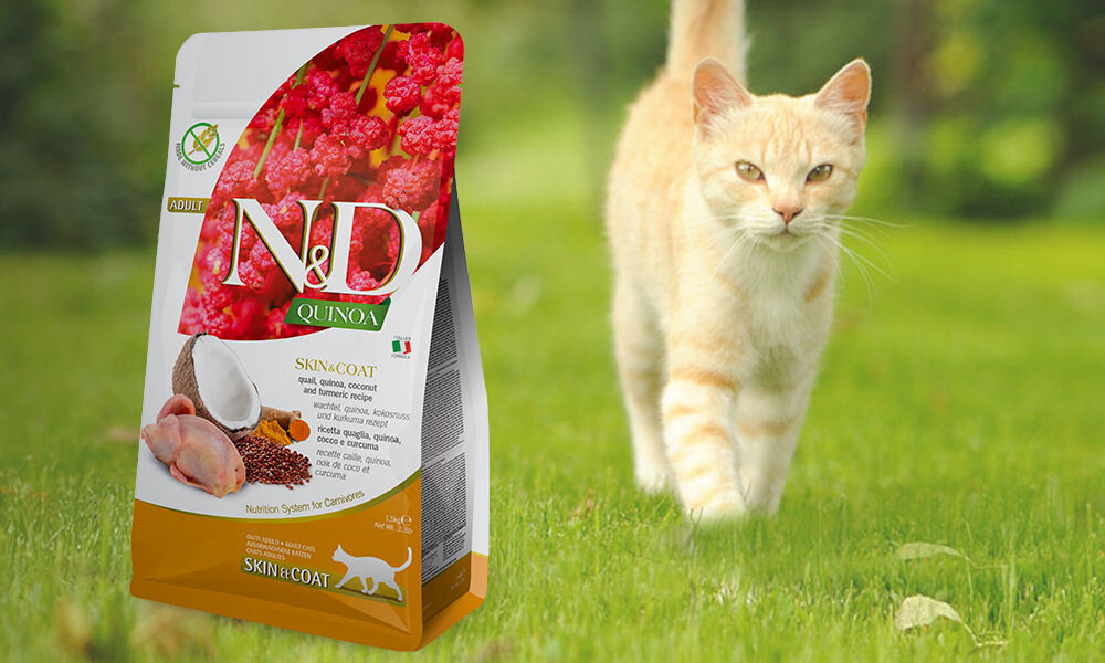 Karma dla kota FARMINA N&D Quinoa Przepiórka z komosą ryżową z kokosem i kurkumą 5 kg dawkowanie analiza sklad