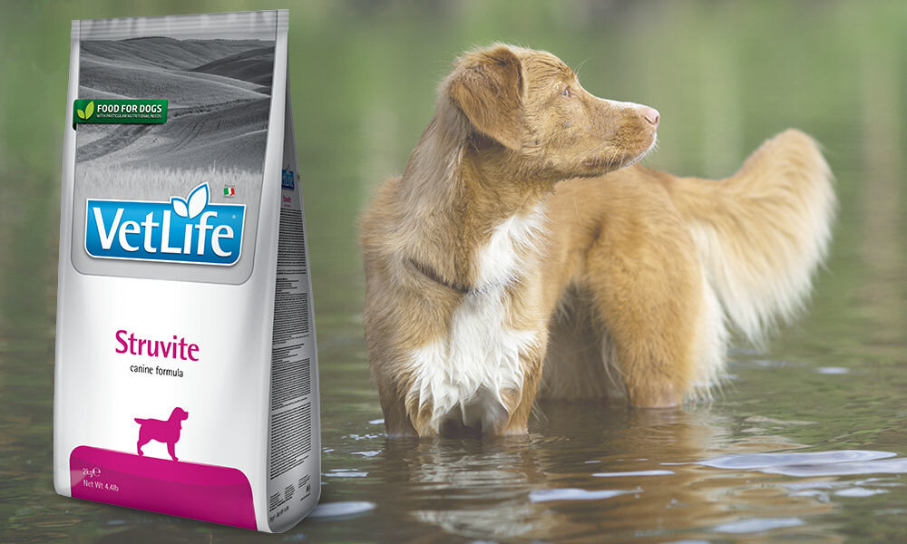 Karma dla psa FARMINA Vet Life Struvite 2 kg dawkowanie analiza sklad
