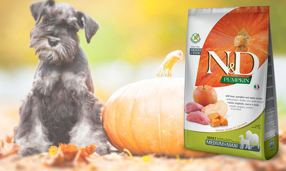 Karma dla psa FARMINA N&D Dziczyzna z dynią i jabłkiem Medium & Maxi 12 kg   dawkowanie analiza sklad