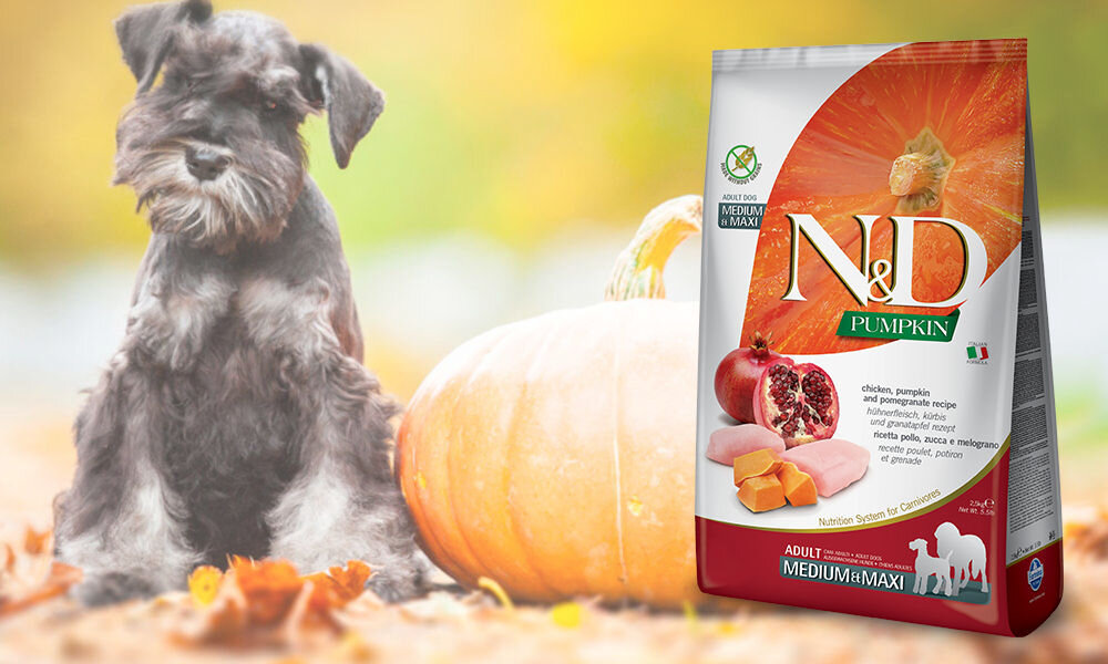 Karma dla psa FARMINA N&D Kurczak z dynią i owocem granatu 12 kg  dawkowanie analiza sklad