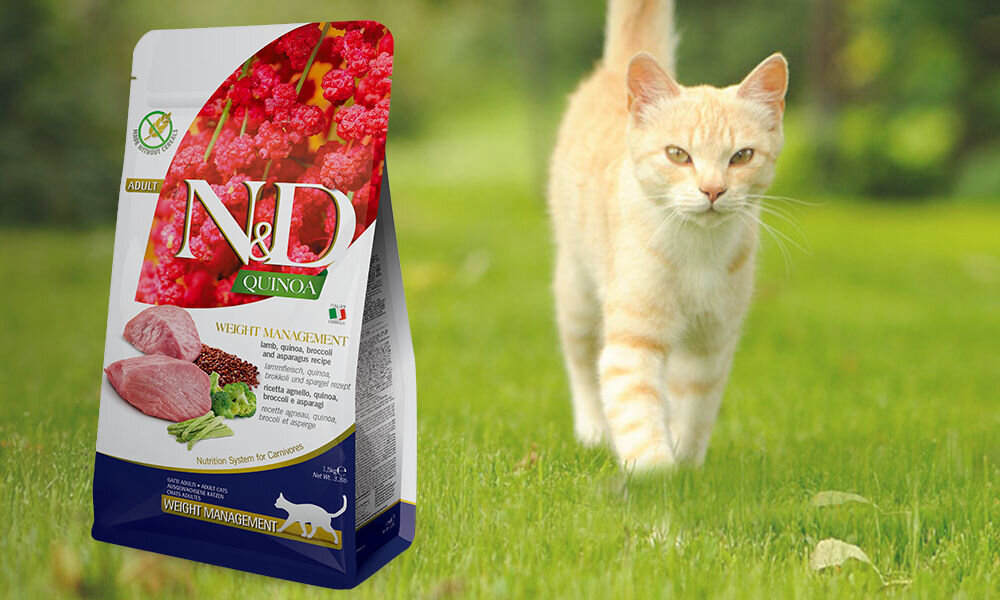 Karma dla kota FARMINA N&D Quinoa Weight Management jagnięcina, brokuły i szparagi 5 kg dawkowanie analiza sklad