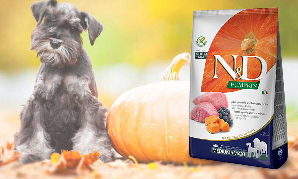 Karma dla psa FARMINA N&D Jagnięcina z dynią i borówką 12 kg dawkowanie analiza sklad