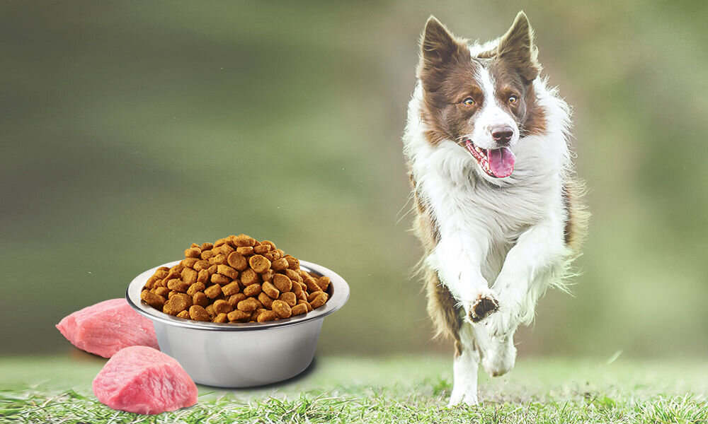 Karma dla psa FARMINA N&D Prime Pupy Medium & Maxi Kurczak z owocem granatu 12 kg naturalne składniki wielkość krokietów
