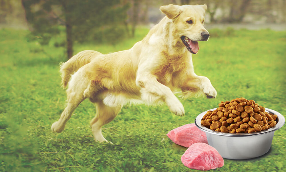 Karma dla psa FARMINA N&D Prime Pupy Medium & Maxi Kurczak z owocem granatu 12 kg witaminy pierwiastki aminokwasy