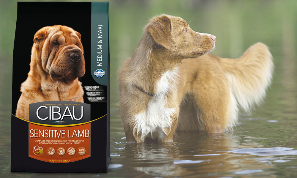 Karma dla psa FARMINA Cibau Sensitive Lamb Medium & Maxi 12kg + 2kg Gratis dawkowanie analiza sklad