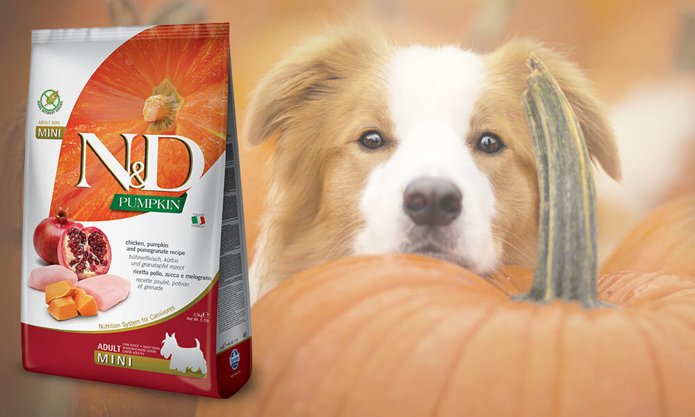 Karma dla psa FARMINA Kurczak z dynią i owoc granatu Adult Mini 7 kg dawkowanie analiza sklad