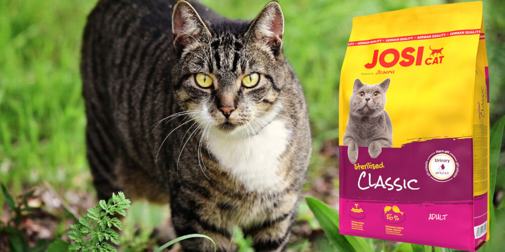 Karma dla kota JOSICAT Sterilised Classic Drób 18 kg witaminy pierwiastki aminokwasy