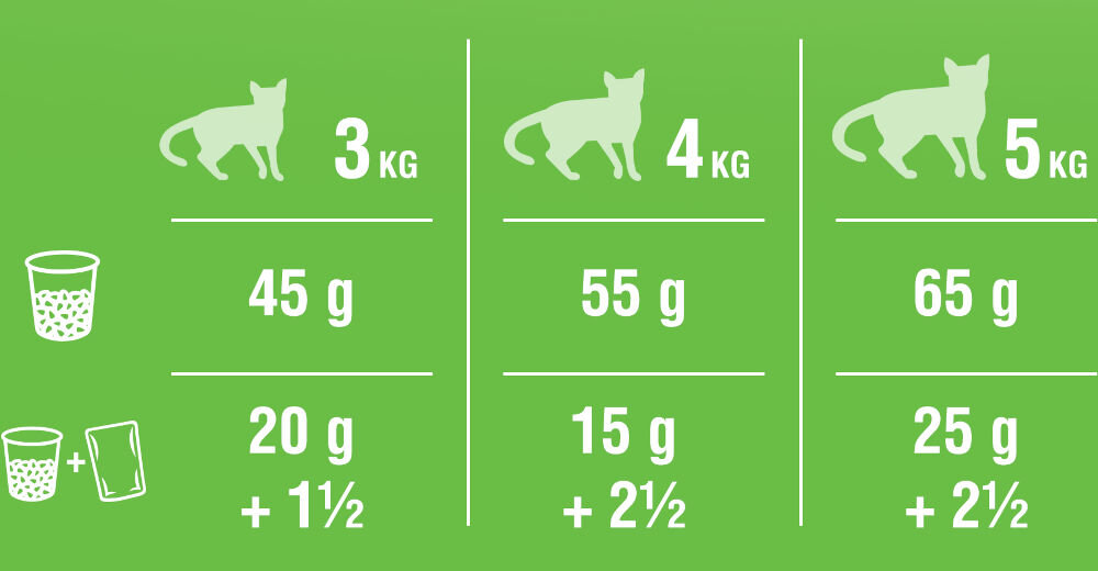 Karma dla kota KITEKAT Wołowina i Warzywa 1,8 kg dawkowanie analiza sklad