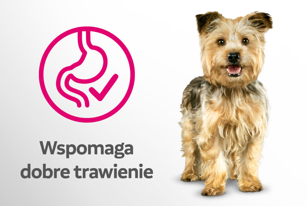 Karma dla psa PERFECT FIT Adult 1+ Kurczak 2.6 kg Brązowo-biały szczeniak rasy Shih Tzu lub podobnej. Obok grafika przedstawiająca psa ze strzałką w górę i tekst Wspiera zdrowy wzrost.
