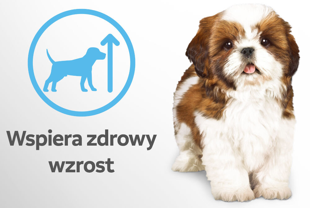 Karma dla psa PERFECT FIT Junior Kurczak XS/S 825 g Brązowo-biały szczeniak rasy Shih Tzu lub podobnej. Obok grafika przedstawiająca psa ze strzałką w górę i tekst Wspiera zdrowy wzrost.
