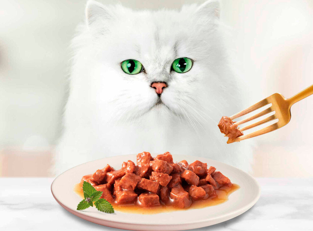 Karma dla kota GOURMET Gold Podwójna przyjemność Wołowina i kurczak 85 g biały kot przed nim talerz z karmą dla dorosłych kotów w wieku od 1 do 7 lat Pełnoporcjowa i zbilansowana receptura Odpowiednio dobrane składniki odżywcze