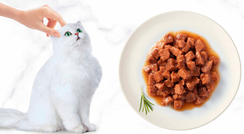 Karma dla kota GOURMET Gold Podwójna przyjemność Wołowina i kurczak 85 g jasne tło biały kot osoba głaszcze kota obok talerz z karmą składniki analityczne dodatki dietetyczne